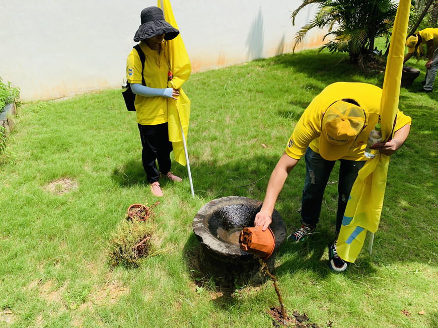 倾倒花盆积水,消除蚊虫滋生地
