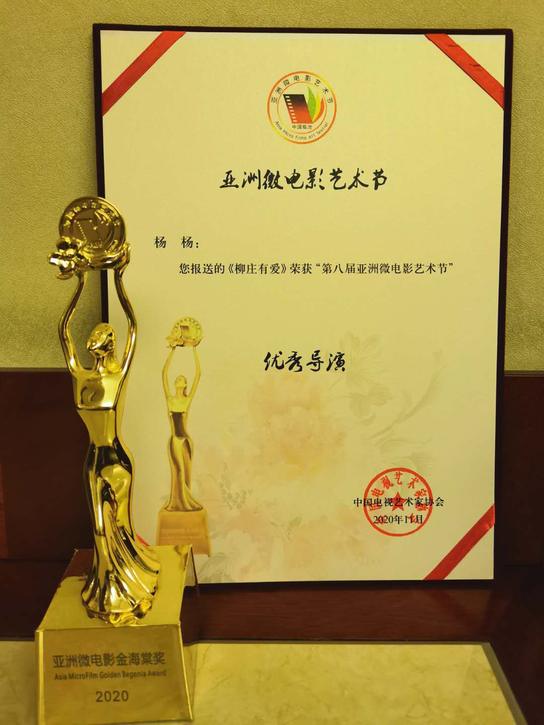 百万网友围观第五届宁波微电影节云颁奖 影片《南方姑娘》成为最大赢家